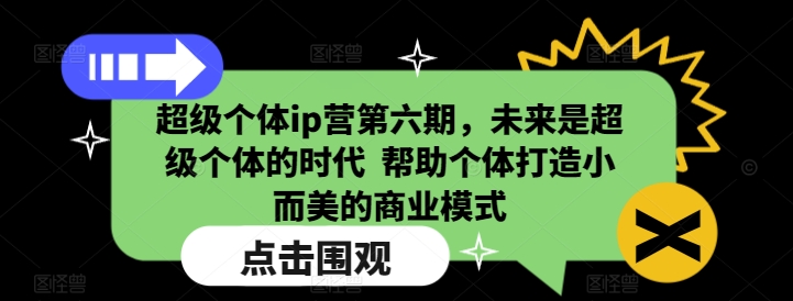 超级个体ip营第六期，未来是超级个体的时代  帮助个体打造小而美的商业模式-天天项目库