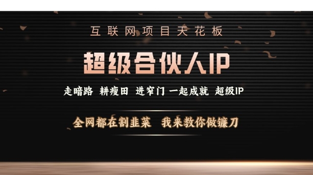 互联网项目天花板，超级合伙人IP，全网都在割韭菜，我来教你做镰刀【仅揭秘】-天天项目库