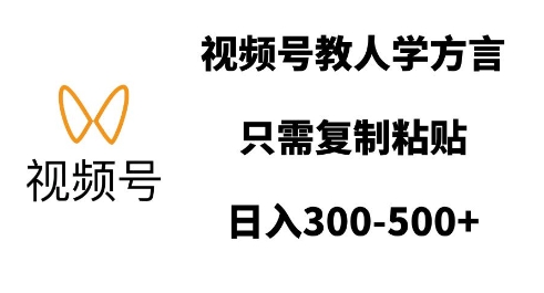 视频号教人学方言，只需复制粘贴，日入多张-天天项目库