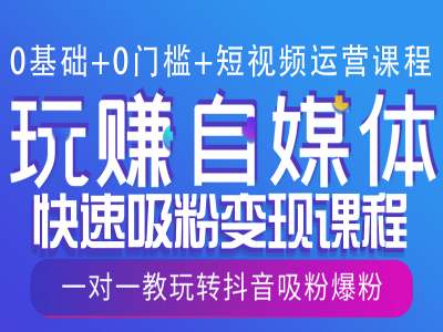 0基础+0门槛+短视频运营课程，玩赚自媒体快速吸粉变现课程，一对一教玩转抖音吸粉爆粉-天天项目库