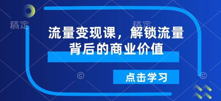 流量变现课，解锁流量背后的商业价值-天天项目库