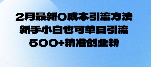 2月最新0成本引流方法，新手小白也可单日引流500+精准创业粉-天天项目库