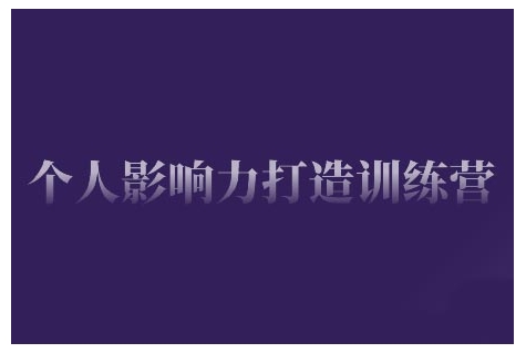 个人影响力打造训练营，掌握公域引流、私域运营、产品定位等核心技能，实现从0到1的个人IP蜕变-天天项目库