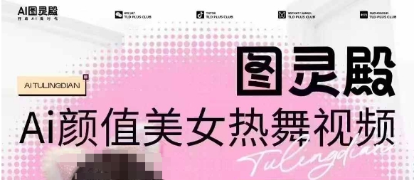 全网首发，原价988图灵殿AI颜值美女热舞视频，云端生图，轻松过原创-天天项目库