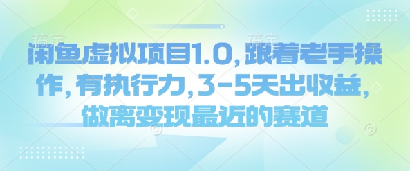 闲鱼虚拟项目1.0，跟着老手操作，有执行力，3-5天出收益，做离变现最近的赛道-天天项目库