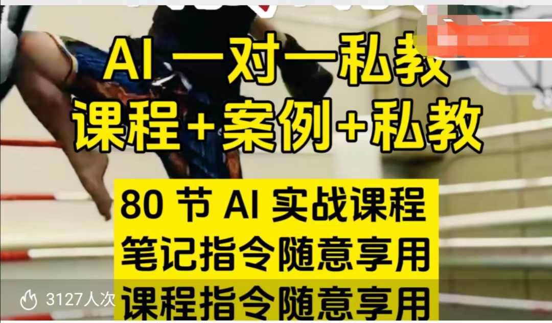 AI指令实战课，课程+案例，80节AI实战课程，笔记指令随意享用，课程指令随意享用-天天项目库