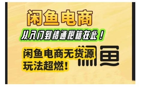 闲鱼电商实战课，从入门到精通秘籍在此，闲鱼电商无货源玩法超燃!-天天项目库