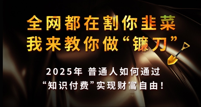 全网都在割你韭菜，我来教你做镰刀，2025年普通人如何通过 知识付费 实现财F自由【揭秘】-天天项目库