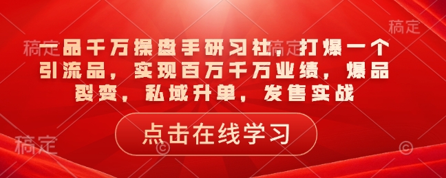 一品千万操盘手研习社，打爆一个引流品，实现百万千万业绩，爆品裂变，私域升单，发售实战-天天项目库