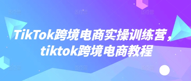 TikTok跨境电商实操训练营，tiktok跨境电商教程-天天项目库