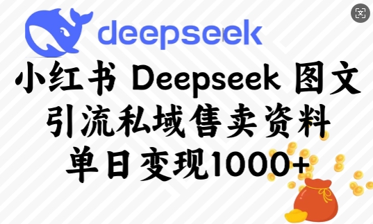 小红书Deepseek图文引流私域售卖资料，单日变现多张-天天项目库