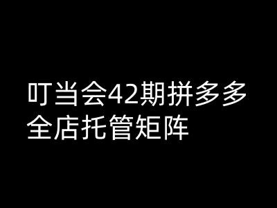 叮当会拼多多打爆班原创高阶技术第42期，拼多多全店托管矩阵-天天项目库