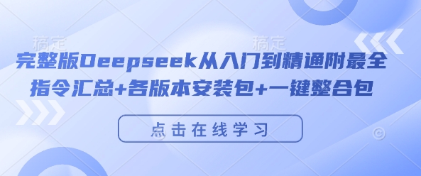 完整版Deepseek从入门到精通附最全指令汇总+各版本安装包+一键整合包-天天项目库