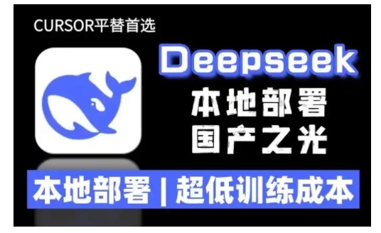 2025年deepseek R1 大型模型本地安装部署(文件+教程)本地部署，超低训练成本-天天项目库